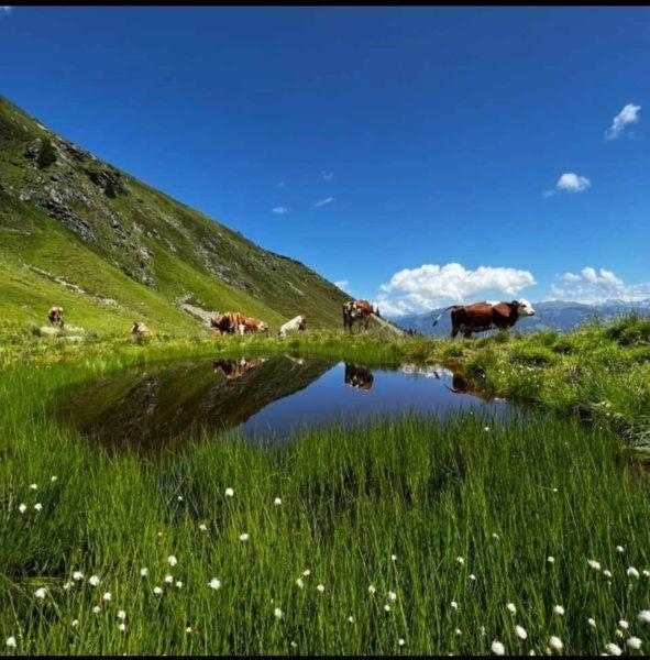 Das Zauberhaft Mayrhofen Eksteriør bilde